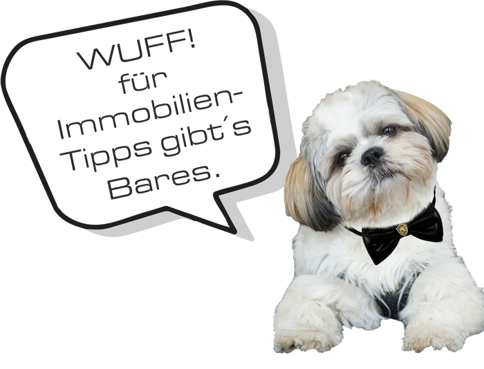 Immobilientippgeber-gesucht