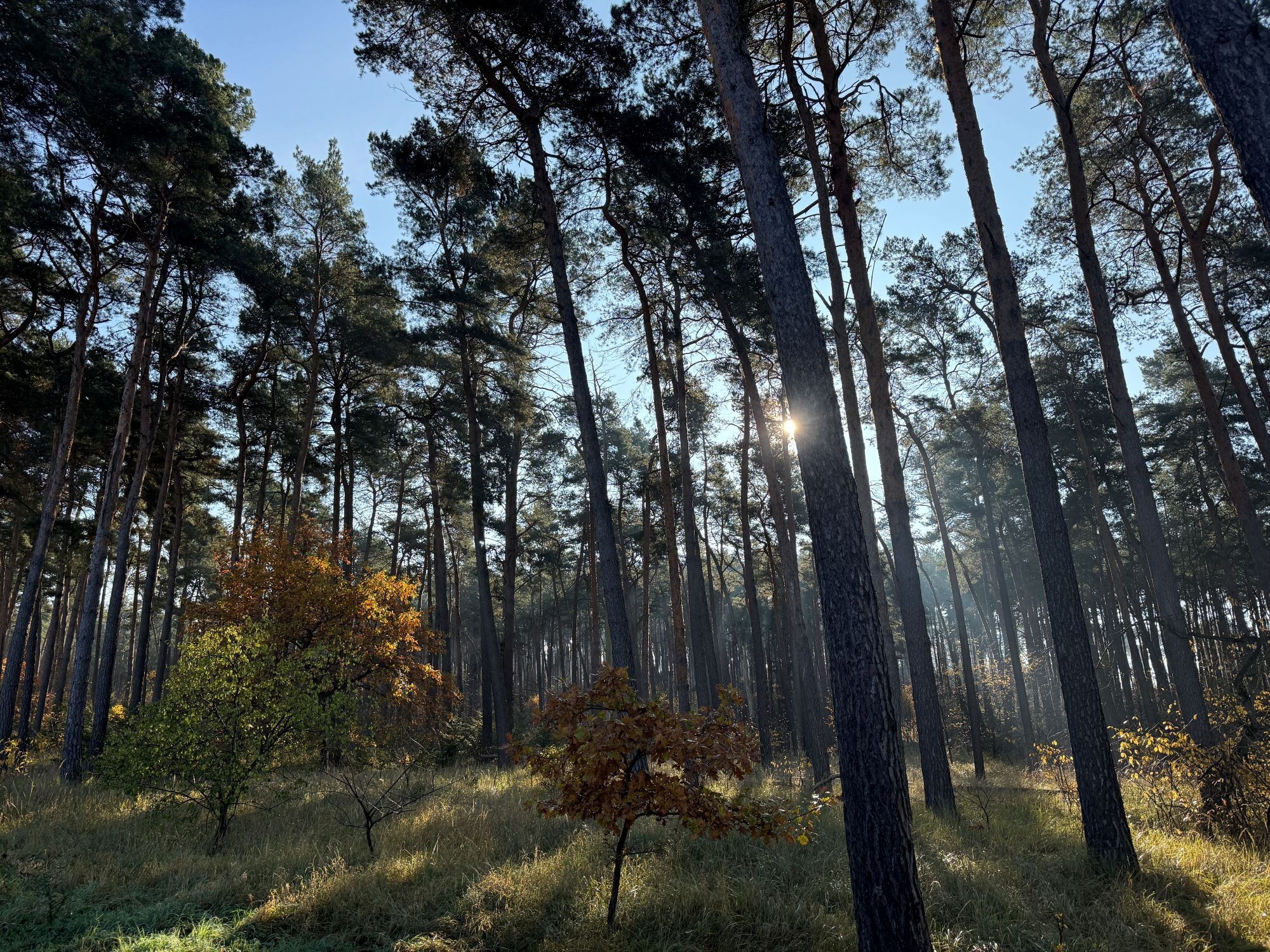 Umgebung