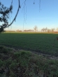Aussicht - *Große Doppelhaushälfte im Norden von Leipzig*