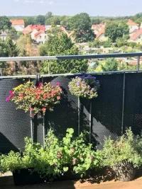 AUSBLICK vom BALKON