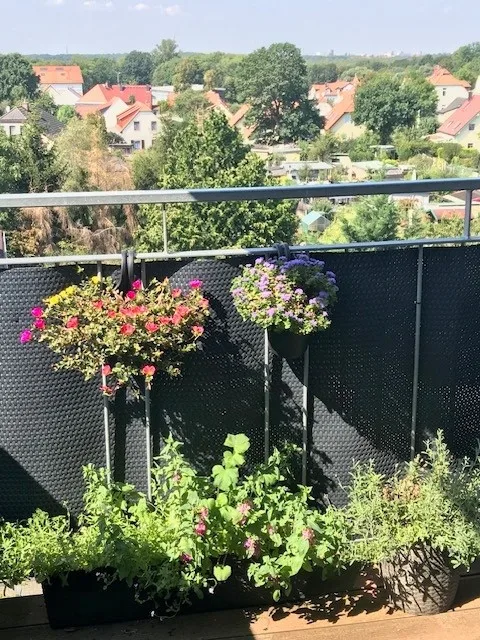 AUSBLICK vom BALKON