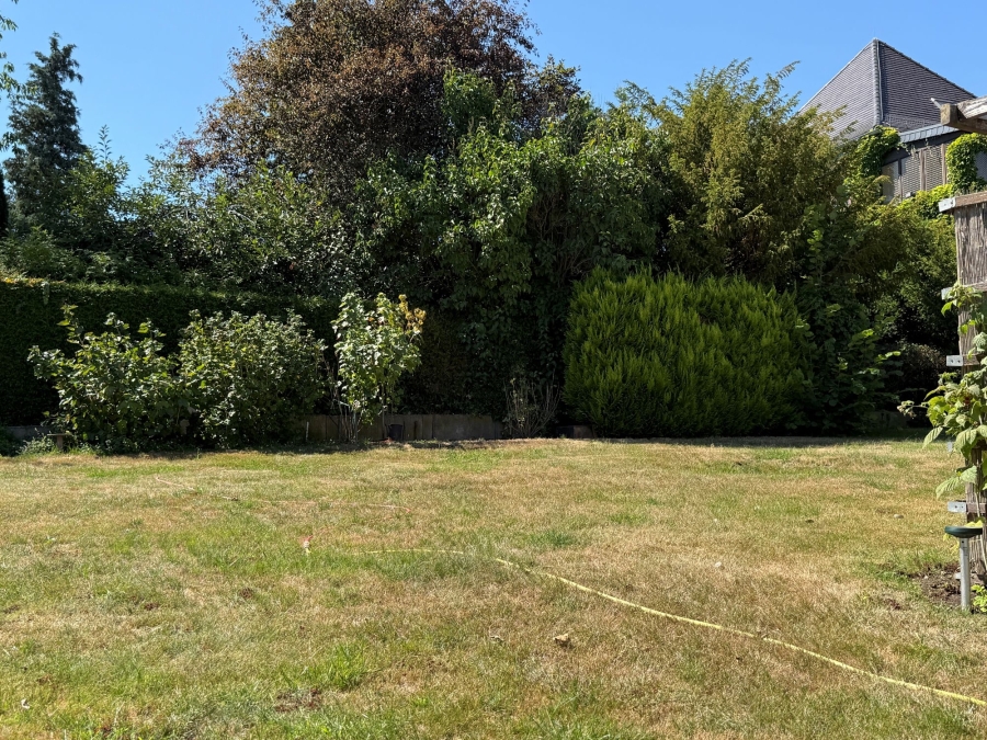Garten 2